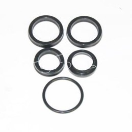 CJF-16-40/22/250Z pavarų dėžės pavaros sandariklių komplektas Bizon kombainui - CJ2F-16-40/22