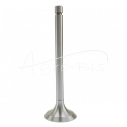 MTZ ANDORIA įsiurbimo vožtuvas, - 501007014AM