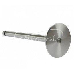 MTZ ANDORIA įsiurbimo vožtuvas, - 501007014AM