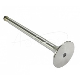 IMT ANDORIA įsiurbimo vožtuvas, - 10302117AM