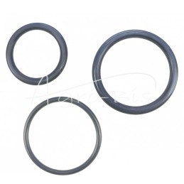 Sandarinimo komplektas 2 svirčių išvertimo cilindrui, naujo tipo, Sanok D-732 PZL HYDRAL priekabai - F261H