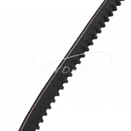 AVX13-1000 dantytas diržas - AVX13-1000