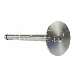 „Zetor ANDORIA“ įsiurbimo vožtuvas, - 69010555AM