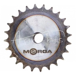 Grūdinto tipo žvaigždutė su flanšu, stebule 06B-1 Z-24, išorinis skersmuo 76,7 mm MORGA - S06B124M