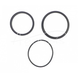 Cilindro sandarinimo komplektas CN1sB-55/155 bulvių kombainui Neptun - F167