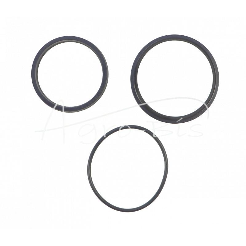 Cilindro sandarinimo komplektas CN1sB-55/155 bulvių kombainui Neptun - F167