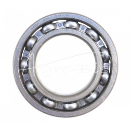 NACHI 6007 vienos eilės rutulinis guolis - 6007 NACHI