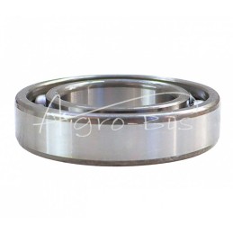 NACHI 6007 vienos eilės rutulinis guolis - 6007 NACHI