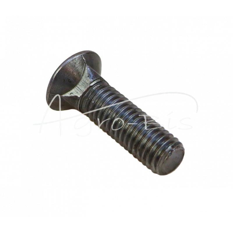 Noragėlių varžtas M10x35 DIN605 Lenkija - M10*35R