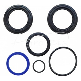 Pagalbinio pakėlimo cilindro sandariklių komplektas CJ2DP50/32/305 ST86409900/1 Ursus C-385 - F181