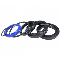 Pagalbinio pakėlimo cilindro sandariklių komplektas CJ2DP50/32/305 ST86409900/1 Ursus C-385 - F181