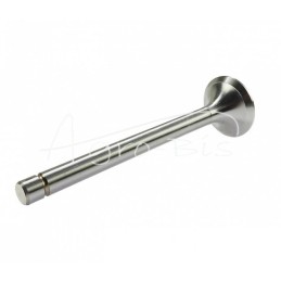 „Zetor ANDORIA“ išmetimo vožtuvas, - 69010554AM