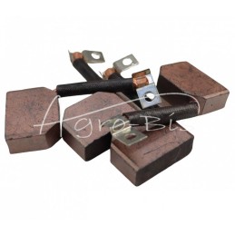 R-20 starterio šepetėlių rinkinys - 000268