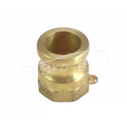 „Camlock“ jungties kištukas, A tipo, žalvaris, 3/4 colio x 19 mm, PZL HYDRAL - ZCMA19H