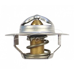 Termostatas FORD 83916917 - TV-18-77