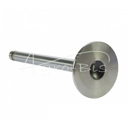 T25 ANDORIA išmetimo vožtuvas, supakuotas po 2 dalis, nurodyta kaina yra už 1 dalį - A0509002AM