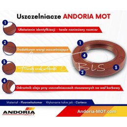 Sandarinimo žiedas 48x72x12 fluoro tarpinė PTO dangteliui Zetor Ursus C-360 ANDORIA - 48x72x12AM