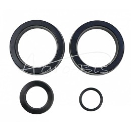 Krautuvo griebtuvo cilindro sandariklių komplektas NUJN-100 PZL HYDRAL - K115H