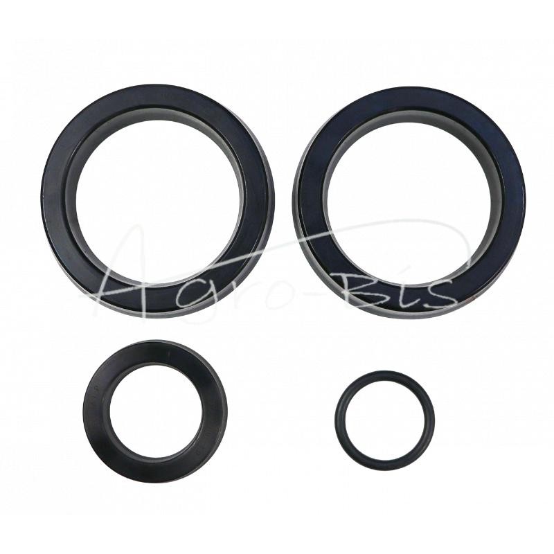 Krautuvo griebtuvo cilindro sandariklių komplektas NUJN-100 PZL HYDRAL - K115H