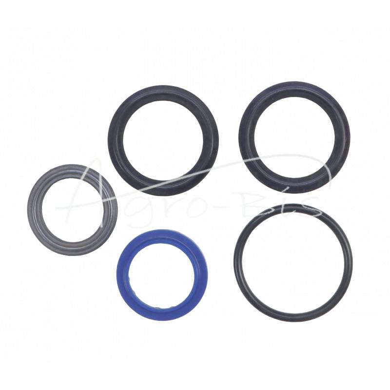 CJF-16-40/22/250Z pavarų dėžės pavaros sandariklių komplektas Bizon PZL-HYDRAL kombainui - K807H