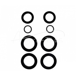 Kombaino „Bizon Z-056“ ritės pakėlimo cilindro sandarinimo komplektas CN2B-25/200ZA - K374