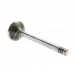 Fendt Farer ANDORIA įsiurbimo vožtuvas, - F238200210040AM