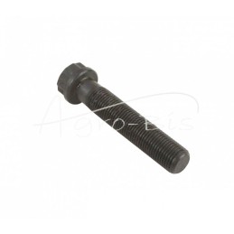 Švaistiklio varžtas L 61mm - skersmuo 12mm Renault John Deere - R501124