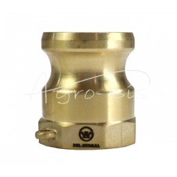 „Camlock“ jungties kištukas, A tipo, žalvaris, 1" x 25 mm, PZL HYDRAL - ZCMA25H