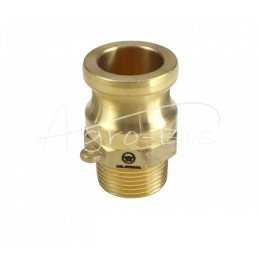 „Camlock“ jungties kištukas, F tipo, žalvaris, 3/4 colio x 19 mm, PZL HYDRAL - ZCMF19H