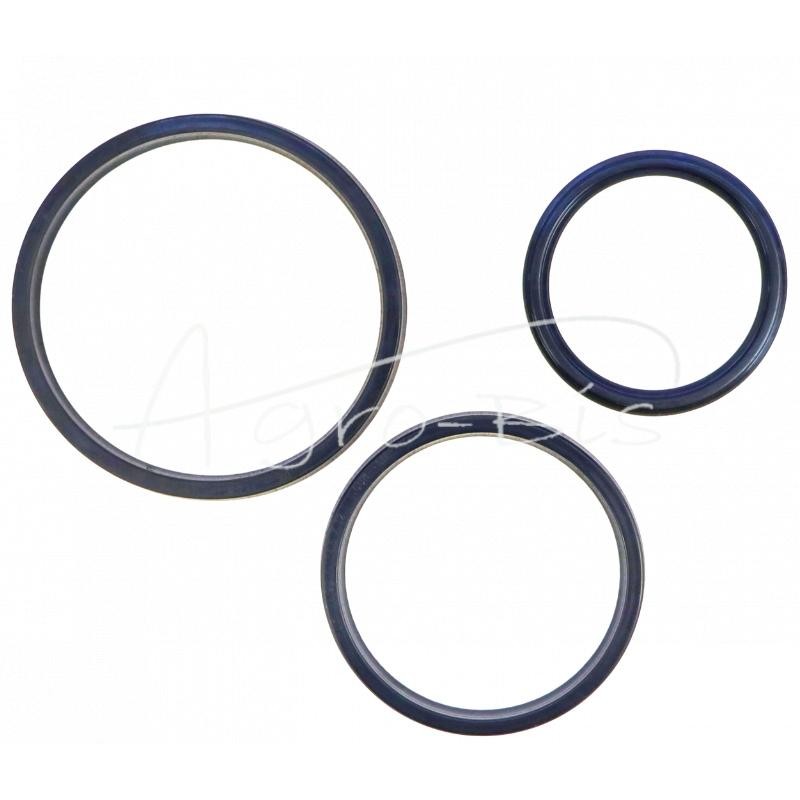 Sanok D-47 PZL-HYDRAL priekabos 3 sekcijų išvertimo cilindro sandarinimo komplektas - F308H