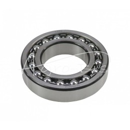 Savaime išsilyginantis rutulinis guolis 1209 ZVL - 1209 ZVL