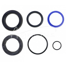 Pagalbinio pakėlimo cilindro sandariklių komplektas CJ2DP50/32/305 ST86409900/1 Ursus C-385 PZL-HYDRAL - F181H