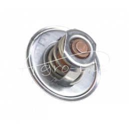 Ford 88C variklio termostatas 54.11mm ANDORIA - 83916916AM