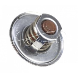 Ford ANDORIA variklio termostatas - 8396917AM