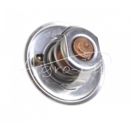 Variklio termostatas 836015156 ANDORIA - V836015156AM