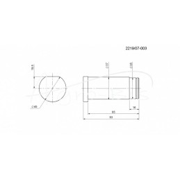 Kreipiamojo rato kaištis FI-37mm Rolmus mėšlo kratytuvui - 221907003