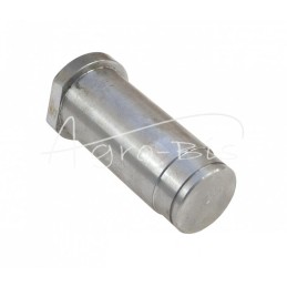 Kreipiamojo rato kaištis FI-37mm Rolmus mėšlo kratytuvui - 221907003