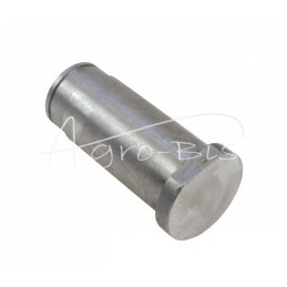 Kreipiamojo rato kaištis FI-37mm Rolmus mėšlo kratytuvui - 221907003