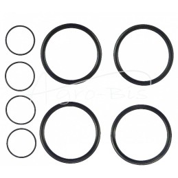 UNHZ-500 krautuvo šoninio cilindro sandarinimo komplektas - K107