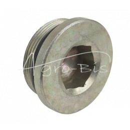 Metrinis srieginis hidraulinis kištukas su šešiakampiu lizdu - Allen raktas M48x2 - KHM48X2