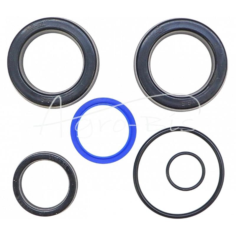 Vairo stiprintuvo cilindro riebokšlių komplektas CJ2D-50/25 Bizon kombainui - F179