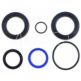 Vairo stiprintuvo cilindro riebokšlių komplektas CJ2D-50/25 Bizon kombainui PZL-HYDRAL - F179H