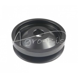 Generatoriaus skriemulys EL257000 A120 Bizon ELMOT kombainas - 255209EL