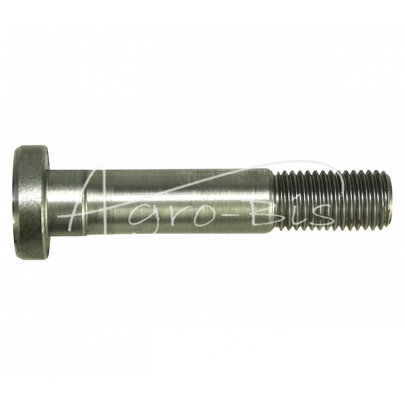 Bizon ritės įtempiklio ašis, lenkiška - 506042006