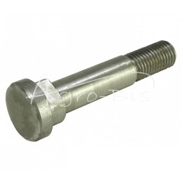 Bizon ritės įtempiklio ašis, lenkiška - 506042006