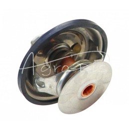 STEYR termostatas - TV-101.83