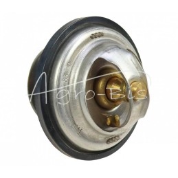 STEYR termostatas - TV-101.83