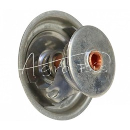 Termostatas STEYR 131100040036 - TV-36.87