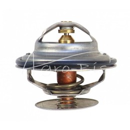 FENDT TV-165.87 termostatas - F1192000500040