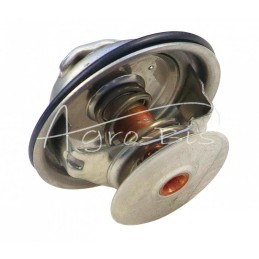 FENDT TV-165.87 termostatas - F1192000500040